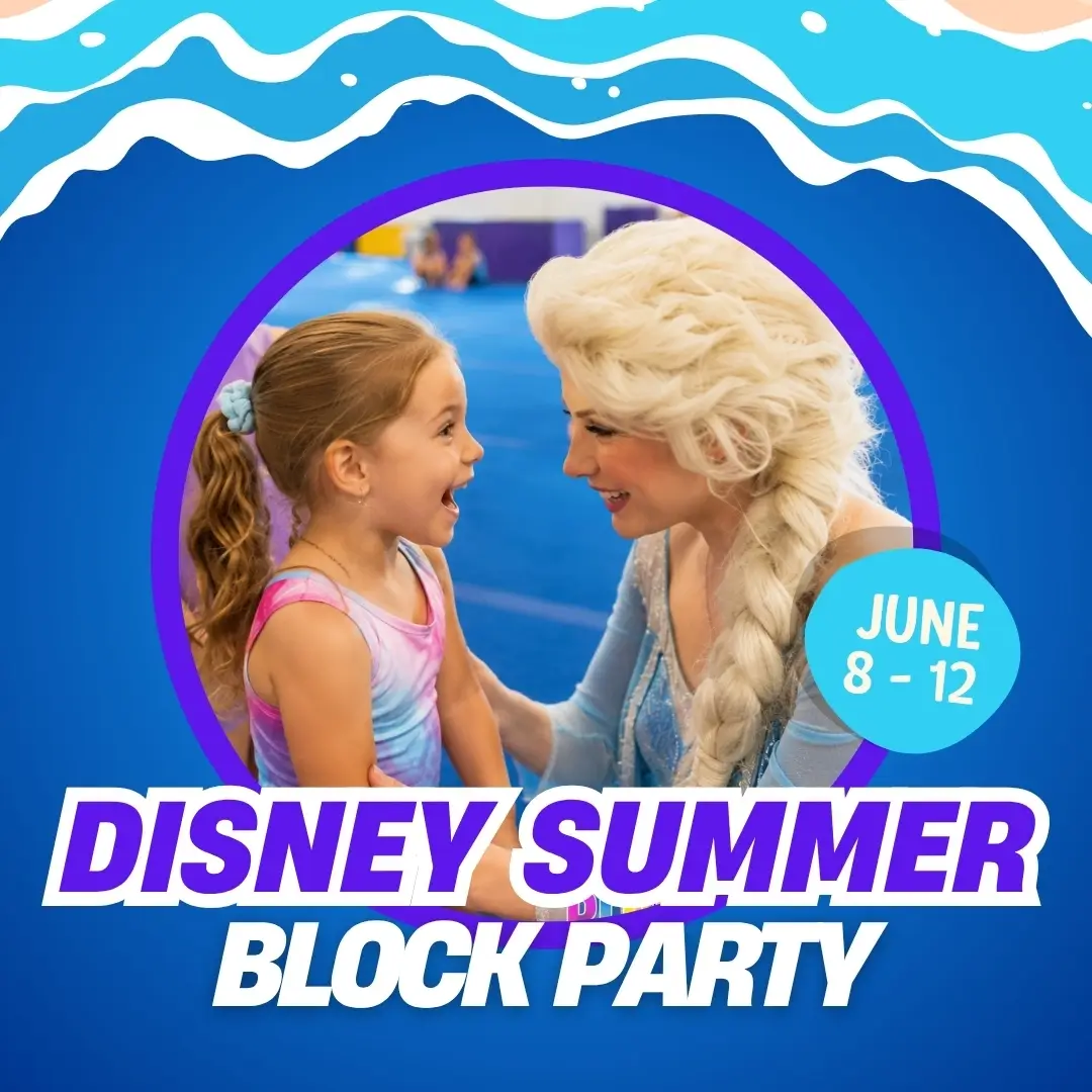Disney Summer Block Party
